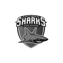 logo sharks