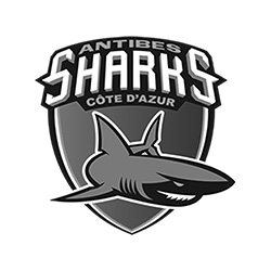 logo sharks